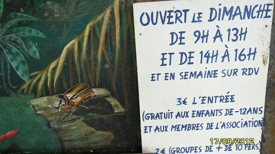 mur du musée;détail.