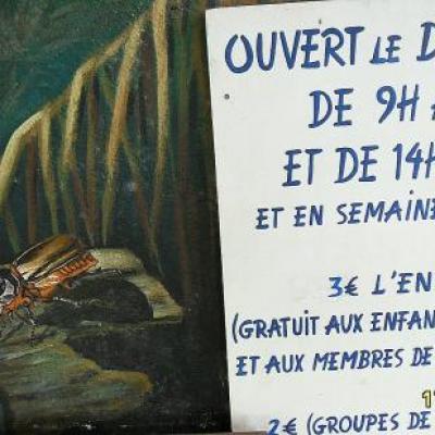 mur du musée;détail.