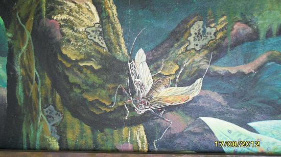 mur du musée;détail.