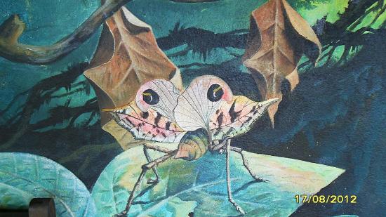 mur du musée;détail.