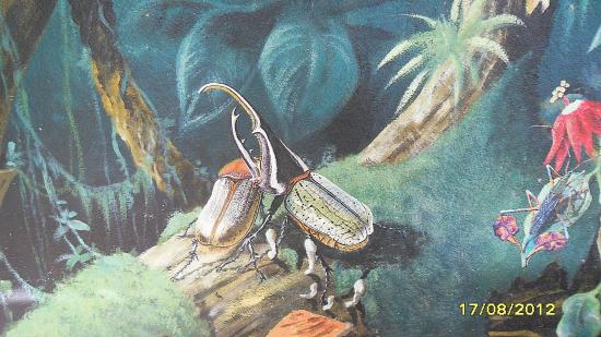 mur du musée;détail.