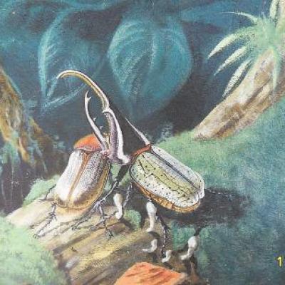 mur du musée;détail.