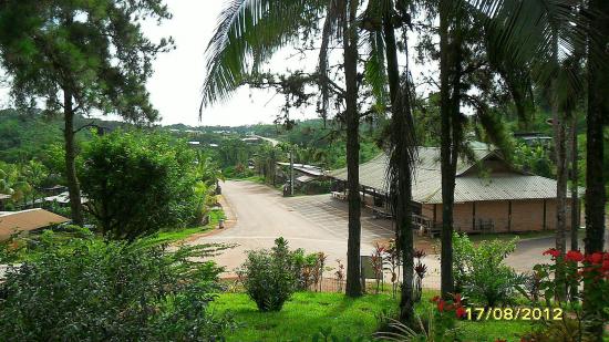 le marché vu  du musée.