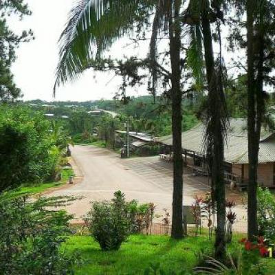 le marché vu  du musée.