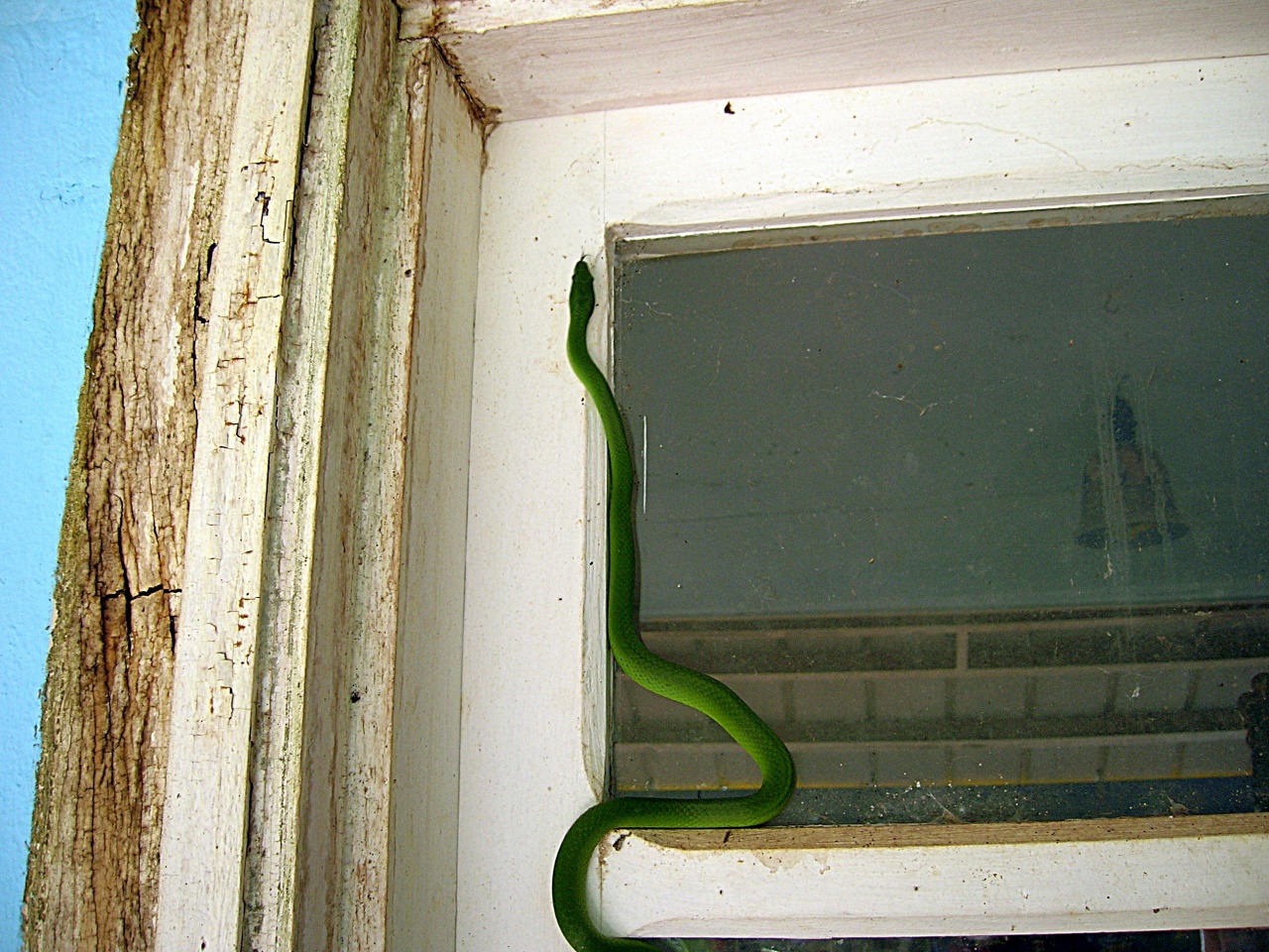 visite à l'atelier,toc.toc!qui c'est?